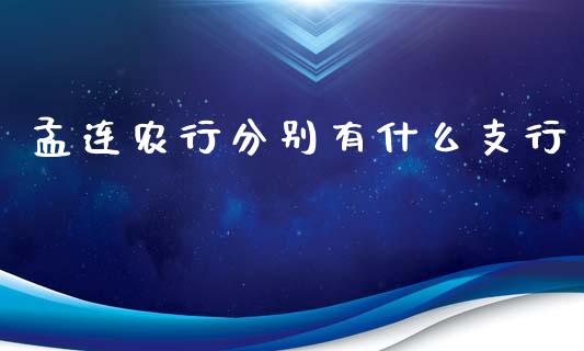 孟连农行分别有什么支行_https://m.qdlswl.com_恒生指数直播喊单_第1张