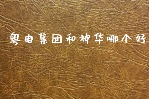 粤电集团和神华哪个好_https://m.qdlswl.com_恒生指数直播喊单_第1张