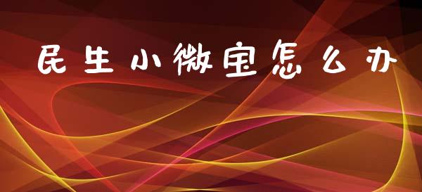 民生小微宝怎么办_https://m.qdlswl.com_恒指在线直播间_第1张