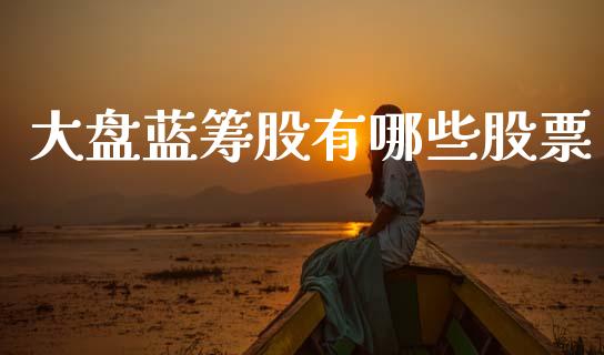 大盘蓝筹股有哪些股票_https://m.qdlswl.com_恒指德指直播室_第1张