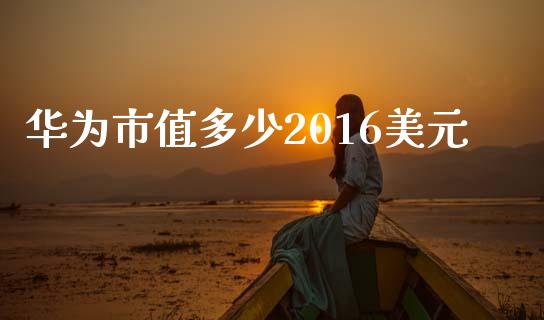 华为市值多少2016美元_https://m.qdlswl.com_恒指德指直播室_第1张