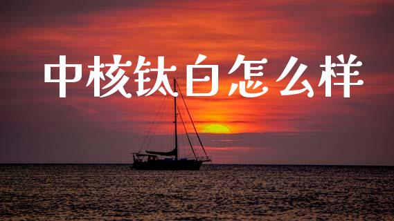 中核钛白怎么样_https://m.qdlswl.com_恒生指数直播喊单_第1张