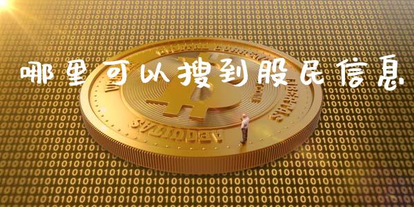 哪里可以搜到股民信息_https://m.qdlswl.com_恒指德指直播室_第1张