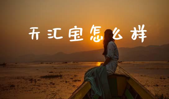 天汇宝怎么样_https://m.qdlswl.com_纳指直播_第1张