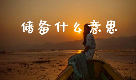 储备什么意思_https://m.qdlswl.com_纳指直播_第1张