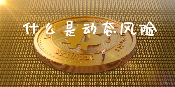 什么是动态风险_https://m.qdlswl.com_纳指直播_第1张