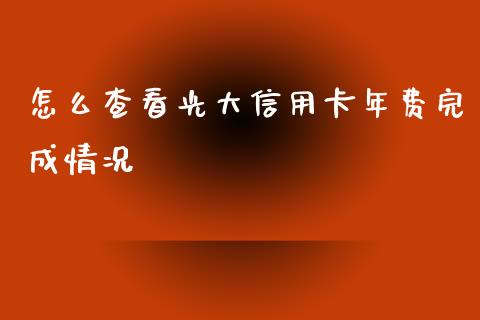 怎么查看光大信用卡年费完成情况_https://m.qdlswl.com_恒生指数直播喊单_第1张