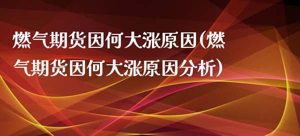 燃气期货因何大涨原因(燃气期货因何大涨原因分析)_https://m.qdlswl.com_恒指在线直播间_第1张
