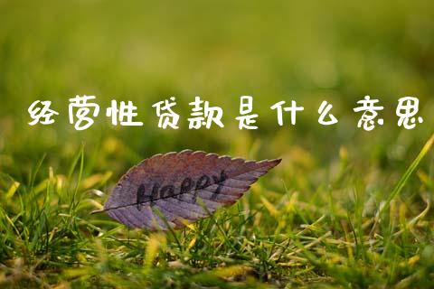 经营性贷款是什么意思_https://m.qdlswl.com_恒指在线直播间_第1张