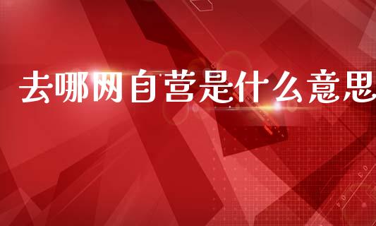 去哪网自营是什么意思_https://m.qdlswl.com_恒指在线直播间_第1张