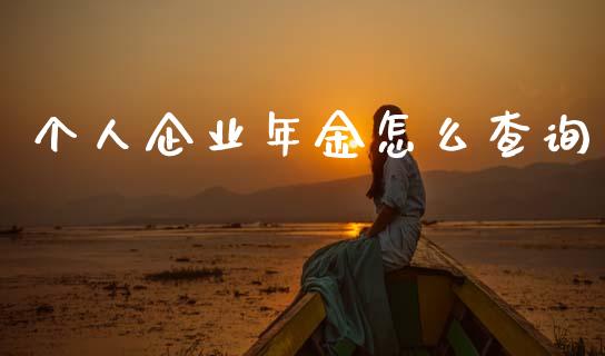 个人企业年金怎么查询_https://m.qdlswl.com_恒指德指直播室_第1张