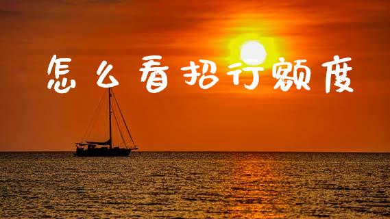 怎么看招行额度_https://m.qdlswl.com_纳指直播_第1张