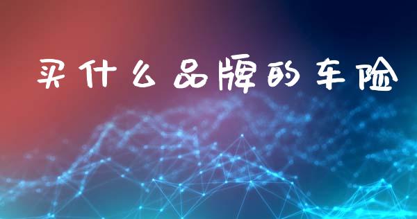 买什么品牌的车险_https://m.qdlswl.com_恒指德指直播室_第1张