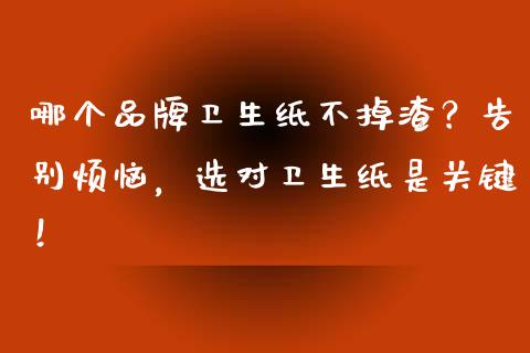 哪个品牌卫生纸不掉渣？告别烦恼，选对卫生纸是关键！_https://m.qdlswl.com_恒指在线直播间_第1张
