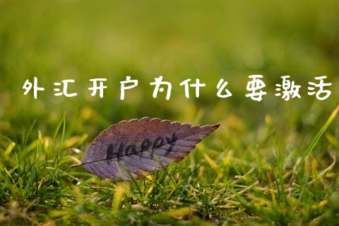 外汇开户为什么要激活_https://m.qdlswl.com_恒指德指直播室_第1张