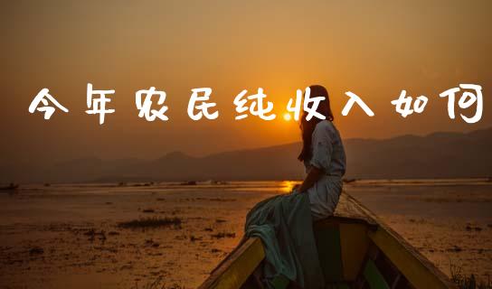 今年农民纯收入如何_https://m.qdlswl.com_恒生指数直播喊单_第1张