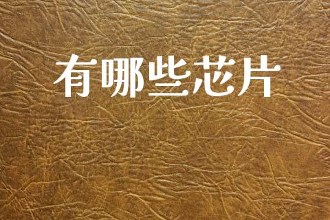 有哪些芯片_https://m.qdlswl.com_恒生指数直播喊单_第1张