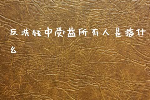 反洗钱中受益所有人是指什么_https://m.qdlswl.com_纳指直播_第1张