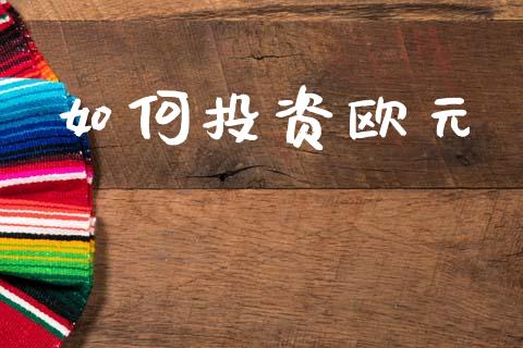 如何投资欧元_https://m.qdlswl.com_恒指德指直播室_第1张