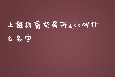 上海期货交易所app叫什么名字_https://m.qdlswl.com_纳指直播_第1张
