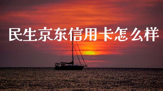 民生京东信用卡怎么样_https://m.qdlswl.com_恒指德指直播室_第1张