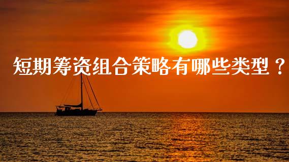 短期筹资组合策略有哪些类型？_https://m.qdlswl.com_恒指在线直播间_第1张
