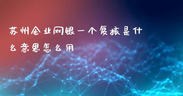 苏州企业网银一个复核是什么意思怎么用_https://m.qdlswl.com_恒指在线直播间_第1张