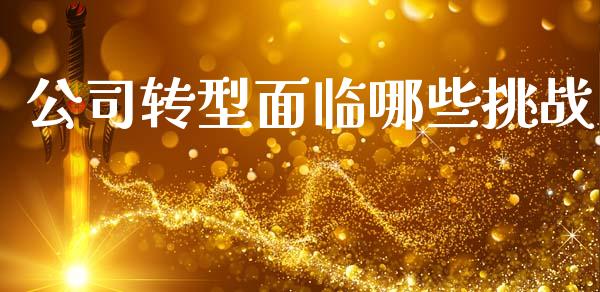 公司转型面临哪些挑战_https://m.qdlswl.com_恒指在线直播间_第1张