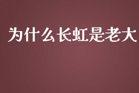 为什么长虹是老大_https://m.qdlswl.com_恒指德指直播室_第1张