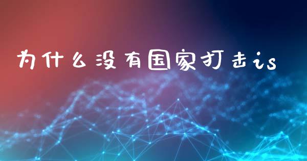 为什么没有国家打击is_https://m.qdlswl.com_恒生指数直播喊单_第1张