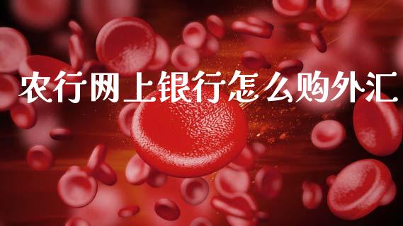 农行网上银行怎么购外汇_https://m.qdlswl.com_纳指直播_第1张